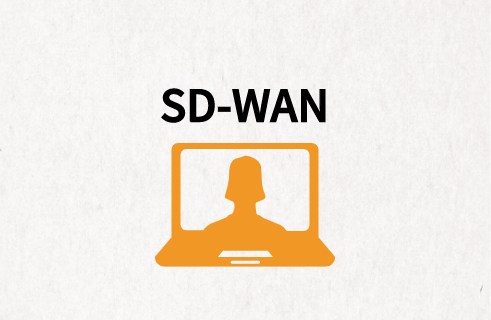 SD-WAN應用為王