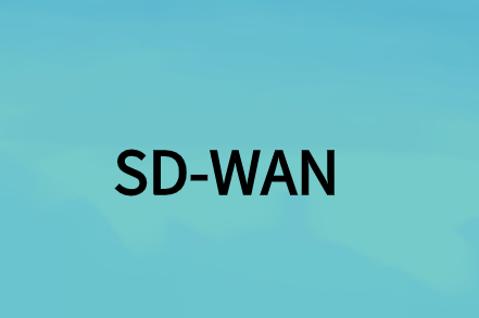 分支到分支的sdwan